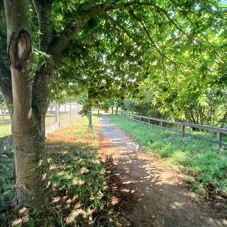 A Casa Do Lago アパート *