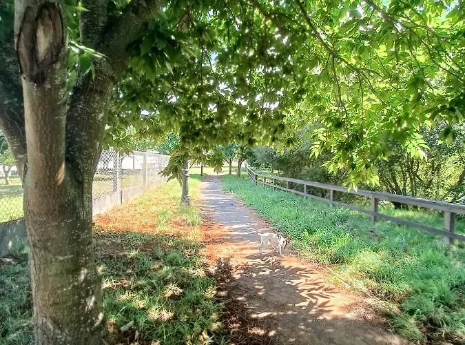 A Casa Do Lago Apartamento *